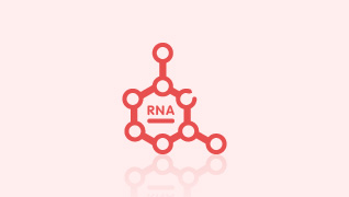 0802RNA合成